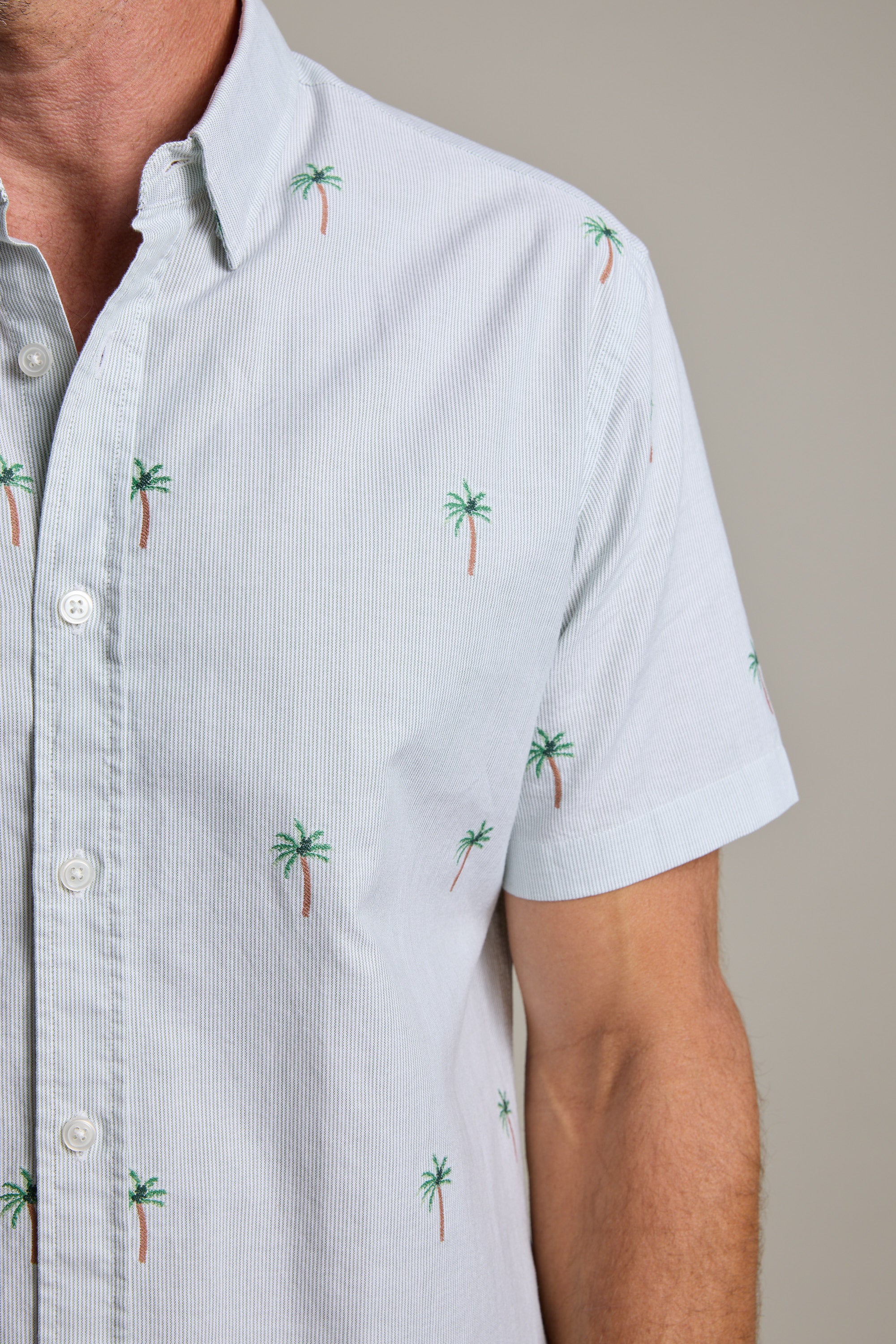 Palm Stripe Shirt - Image 3