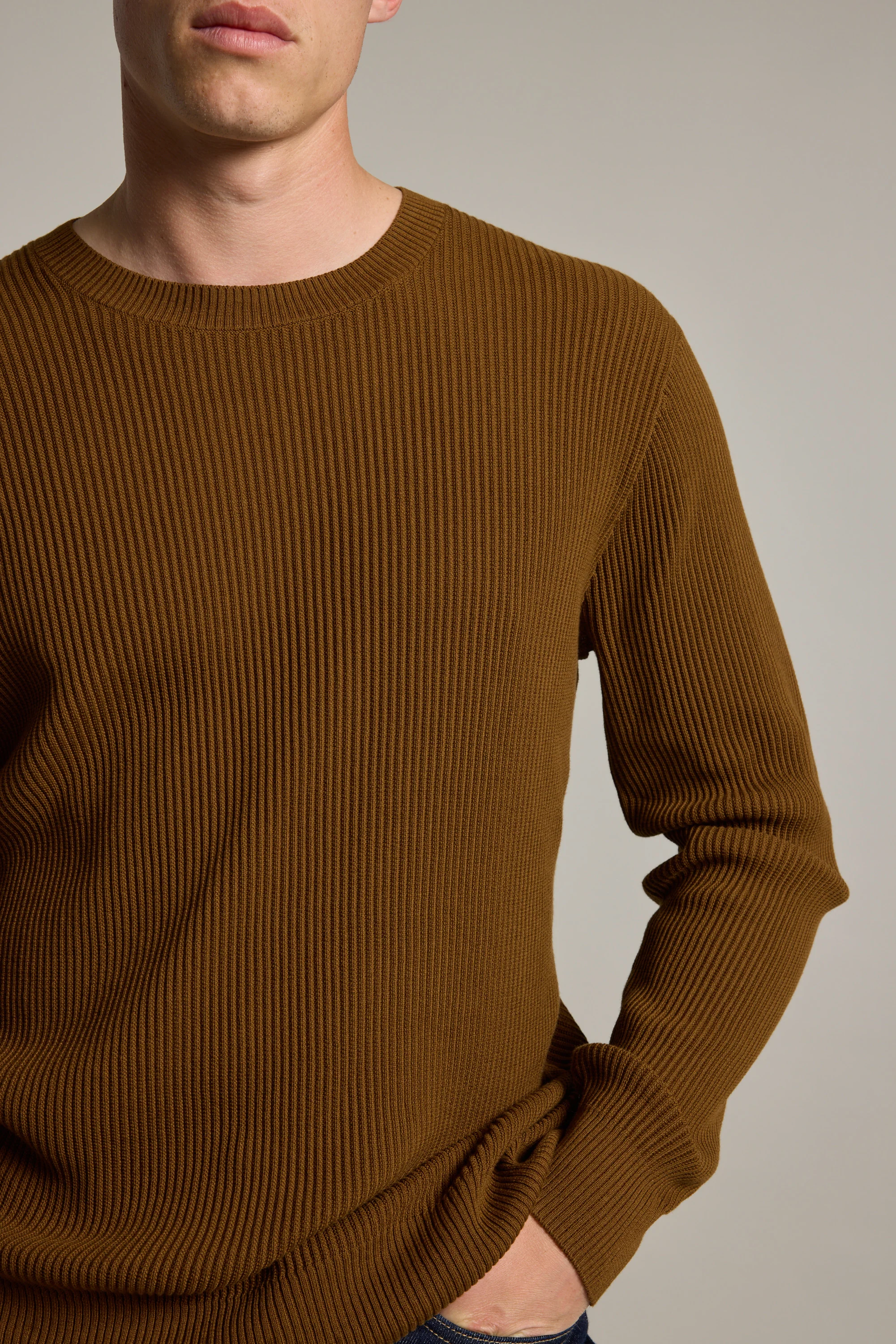 Robin Cotton Crew - Image 3