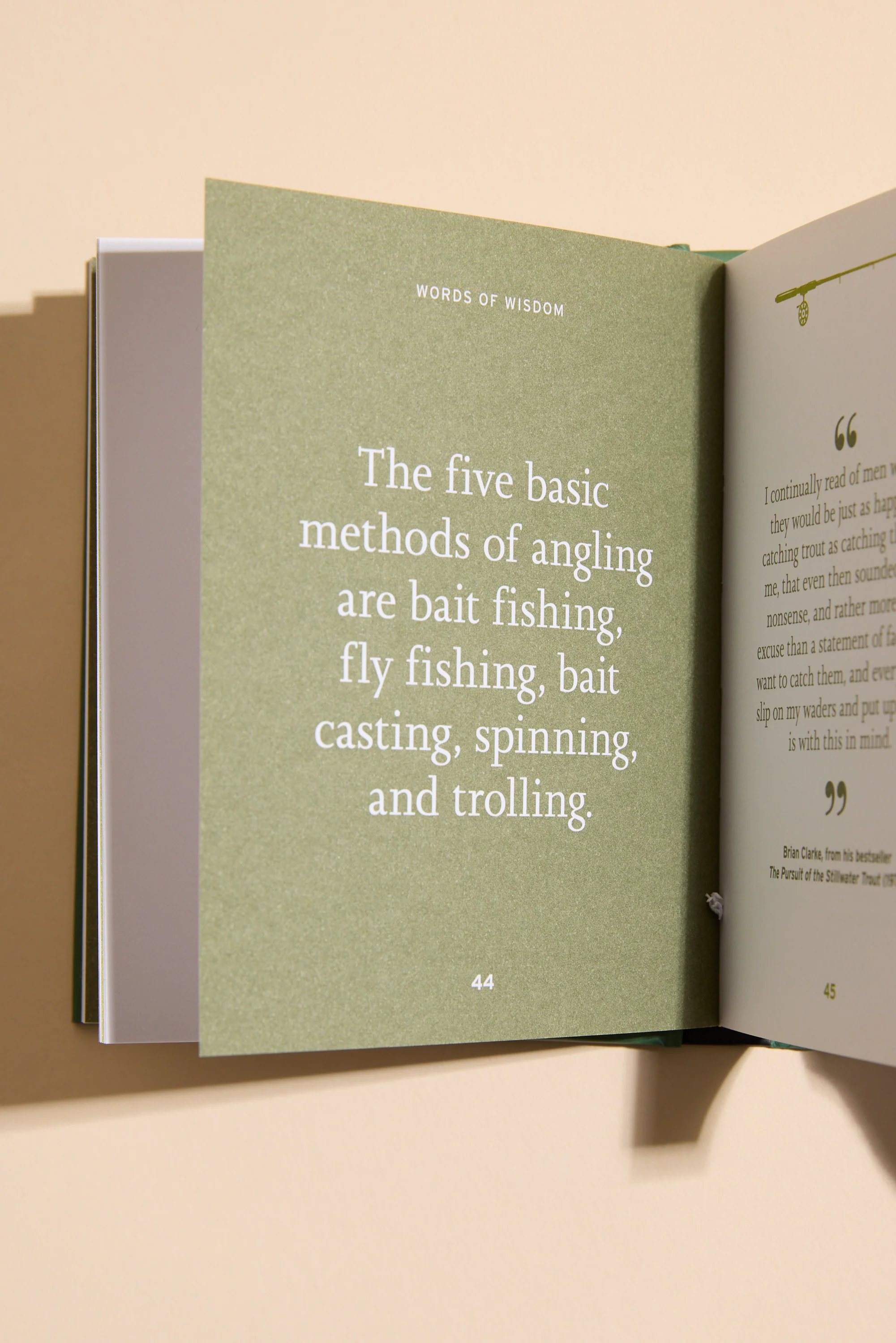 The Little Book of Fishing - Image 2